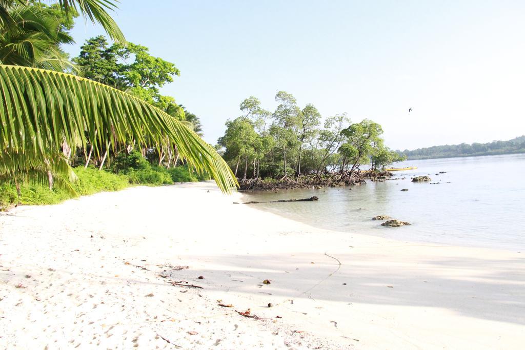 Havelock Island Beach Resort Govind Nagar Bilik gambar